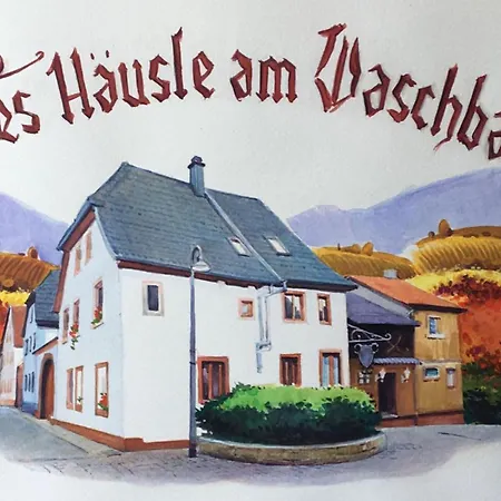 Altes Haeusle Am Waschbach-weinberg Edenkoben